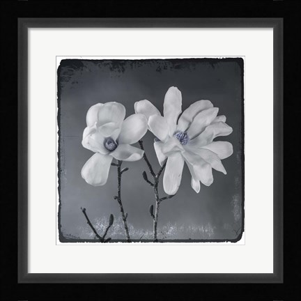 Framed Blue Magnolia 3 Print