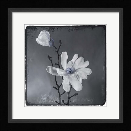 Framed Blue Magnolia Print
