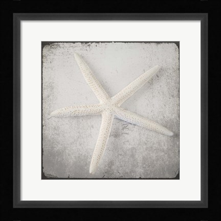 Framed Vintage Natuical Set 2 Print