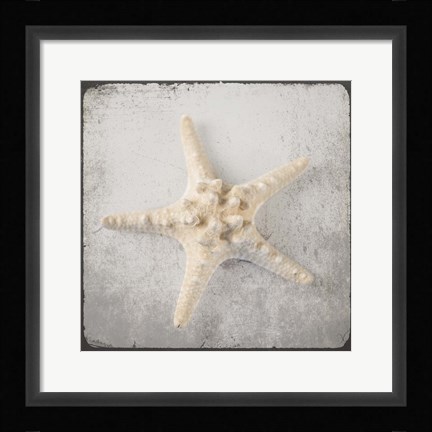 Framed Vintage Natuical Set Print