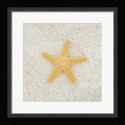 Framed Gypsy Sea Life 2 Print