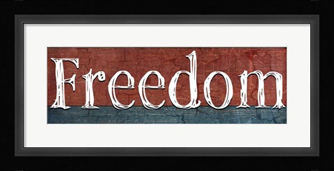 Framed American Freedom Collection V11 Print