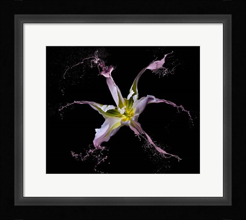Framed Twirling Tulip Print