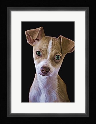 Framed Chihuahua Print