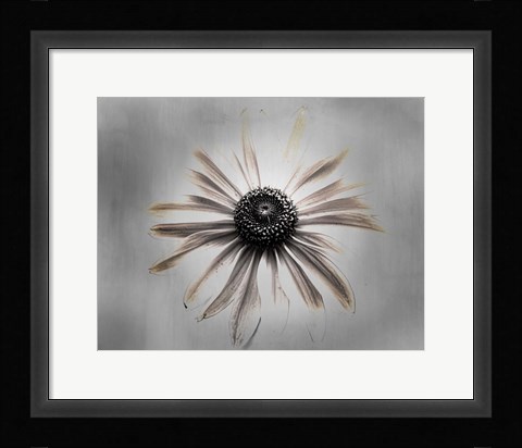 Framed Sun 1 Copy Print