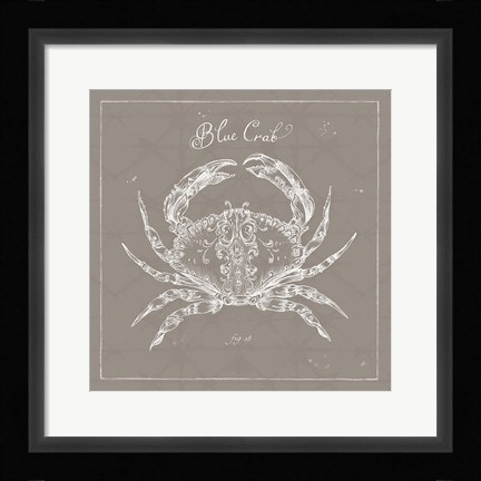 Framed Underwater Life XII Greige Print