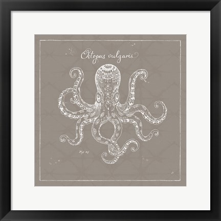 Framed Underwater Life XI Greige Print