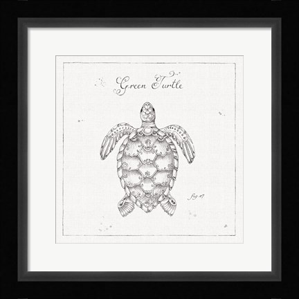 Framed Underwater Life VIII Print