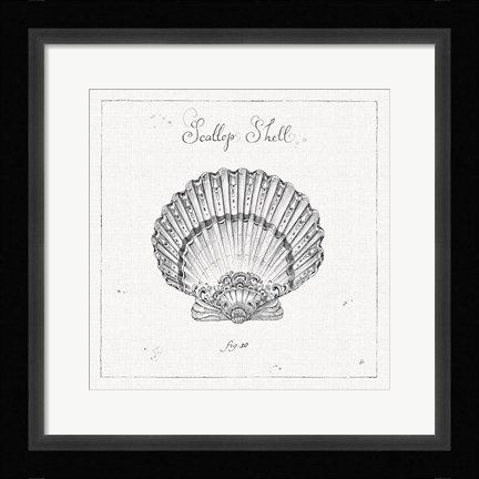 Framed Underwater Life VII Print