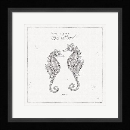 Framed Underwater Life V Print