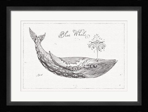 Framed Underwater Life I Print