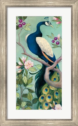 Framed Pretty Peacock I Print