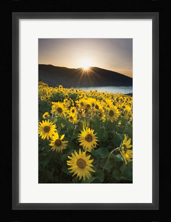 Framed Columbia River Gorge Sunrise Print