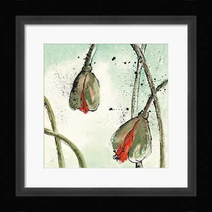 Framed Not a California Poppy II Print