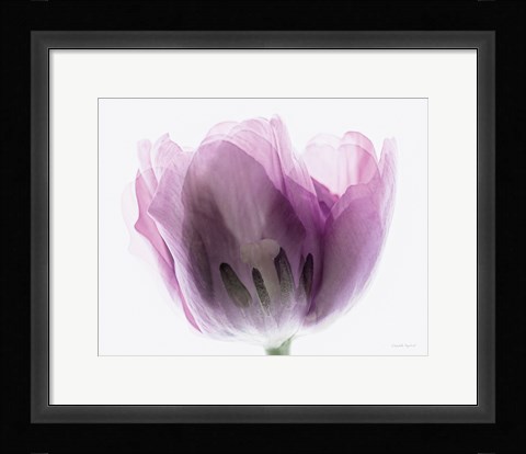 Framed Inside Out I Print