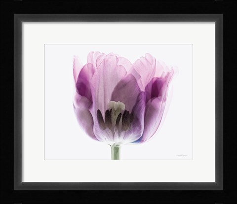 Framed Inside Out II Print