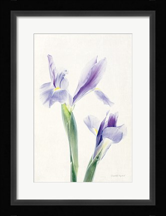 Framed Light and Bright Floral III Print