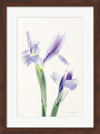 Framed Light and Bright Floral III Print