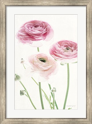 Framed Light and Bright Floral VI Print