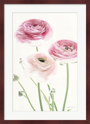 Framed Light and Bright Floral VI Print