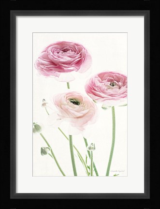 Framed Light and Bright Floral VI Print