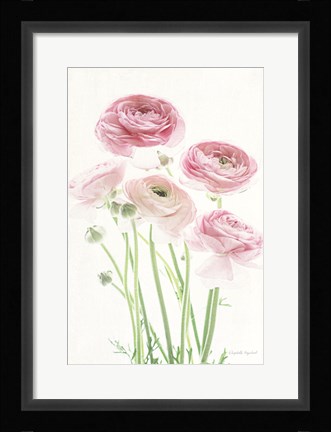 Framed Light and Bright Floral V Print