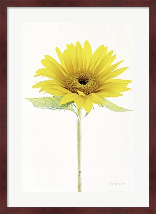 Framed Light and Bright Floral VIII Print