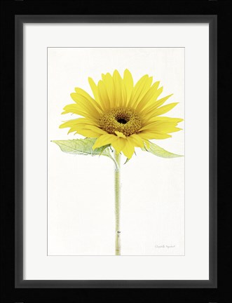 Framed Light and Bright Floral VIII Print