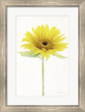 Framed Light and Bright Floral VIII Print