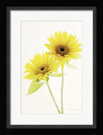 Framed Light and Bright Floral VII Print