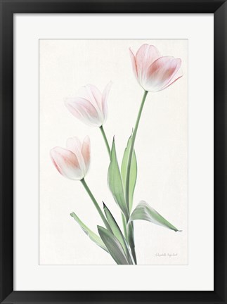 Framed Light and Bright Floral I Print
