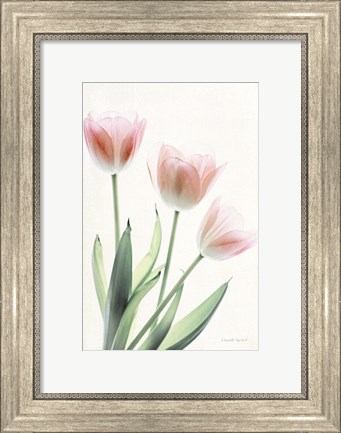 Framed Light and Bright Floral II Print