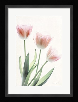 Framed Light and Bright Floral II Print