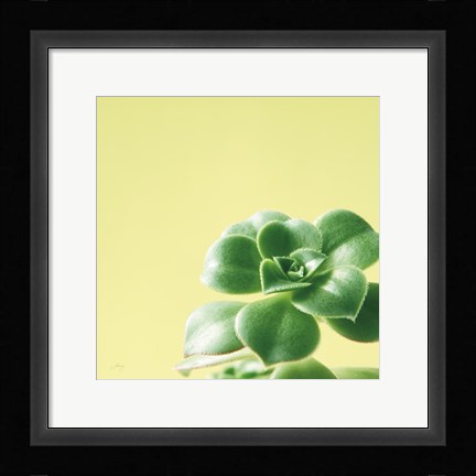 Framed Succulent Simplicity VIII Print