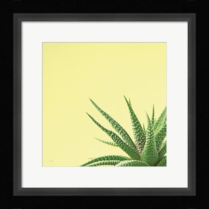 Framed Succulent Simplicity II Print