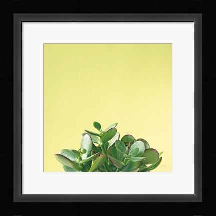 Framed Succulent Simplicity III Print