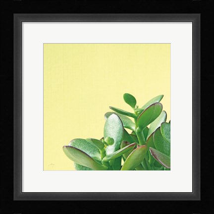 Framed Succulent Simplicity IV Print