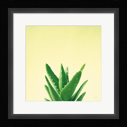Framed Succulent Simplicity V Print