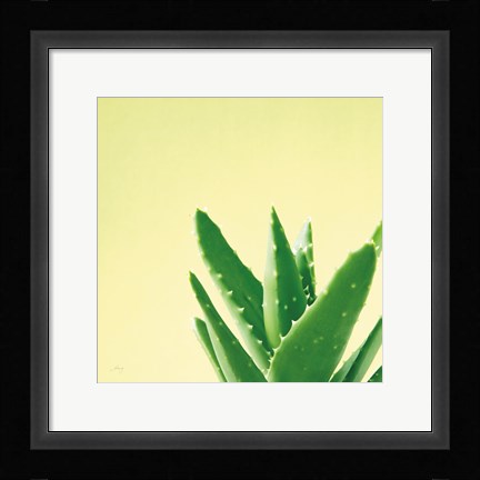 Framed Succulent Simplicity VI Print