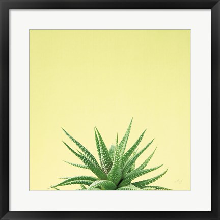 Framed Succulent Simplicity I Print