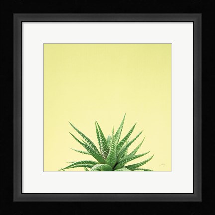 Framed Succulent Simplicity I Print