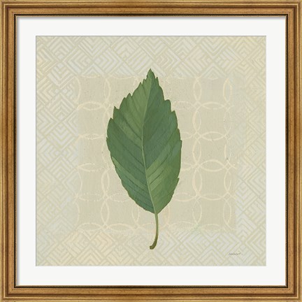 Framed Forest Leaves III no Lines Print