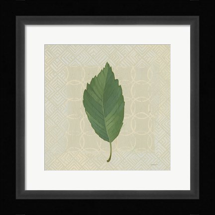 Framed Forest Leaves III no Lines Print