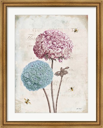 Framed Geranium Study II Pink Flower Print