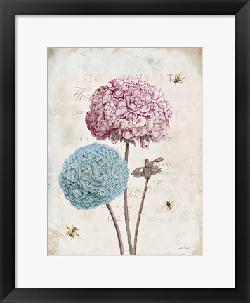 Framed Geranium Study II Pink Flower Print