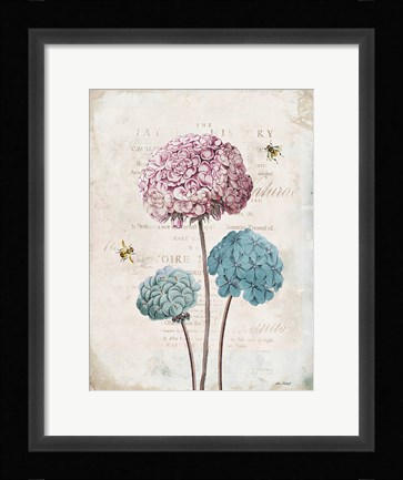 Framed Geranium Study I Pink Flower Print