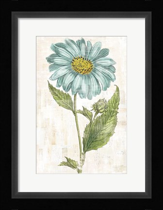 Framed Bloemen Boek VI Print