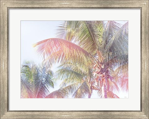 Framed Dream Palm I Print