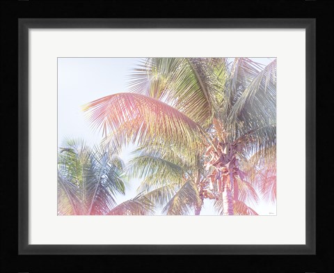 Framed Dream Palm I Print