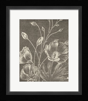 Framed Botanical Beauty Chalk IX Crop Print